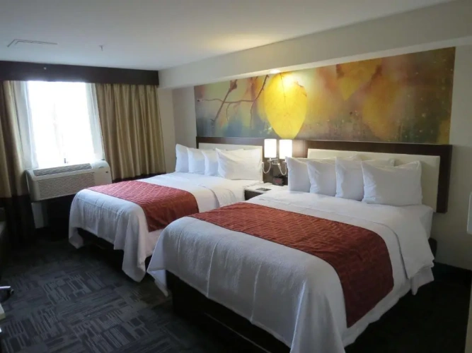 1 Bedroom Low Floor Twin Suite