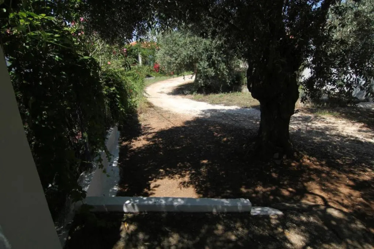 Joanna's House