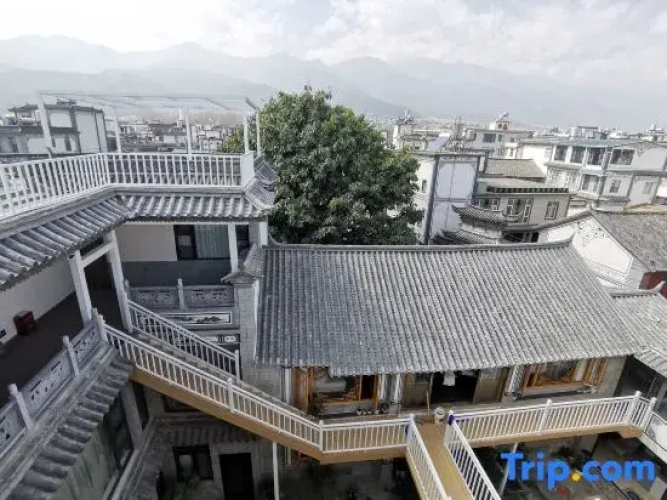 Yi Zhi Yazhu
