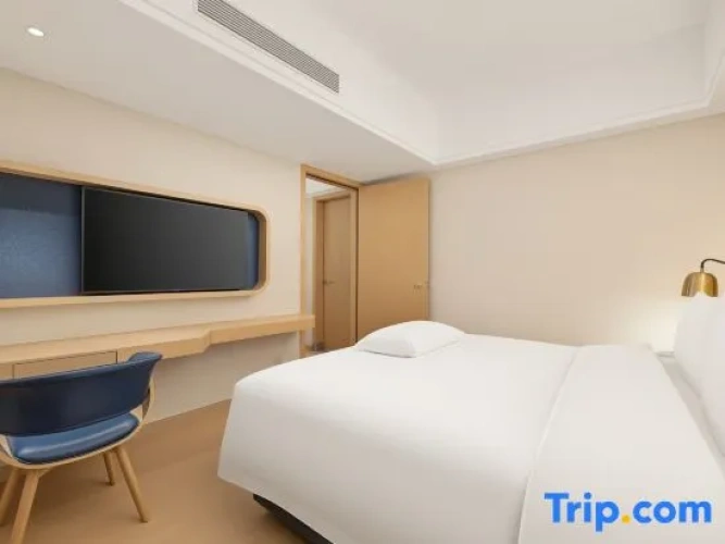 1 Bedroom Executive Suite