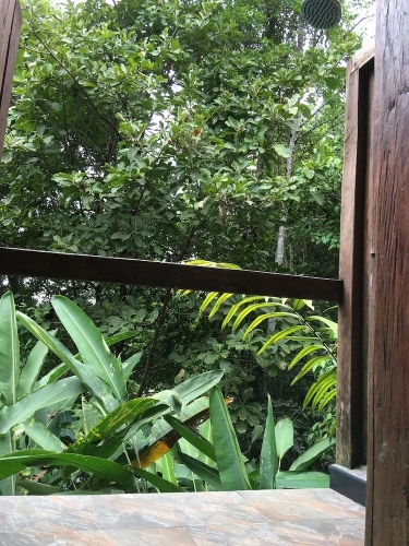 Standard Double room with balcony and with view