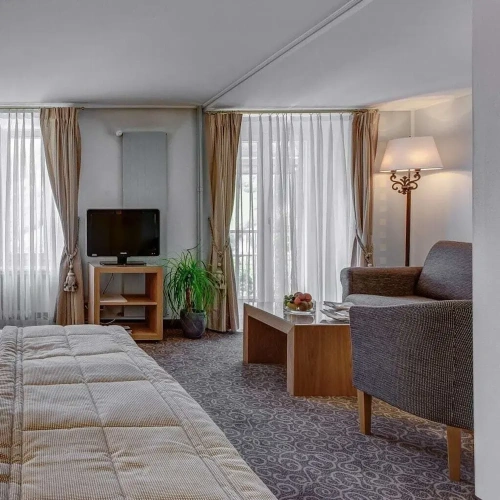 Deluxe room with balcony and with mountain view