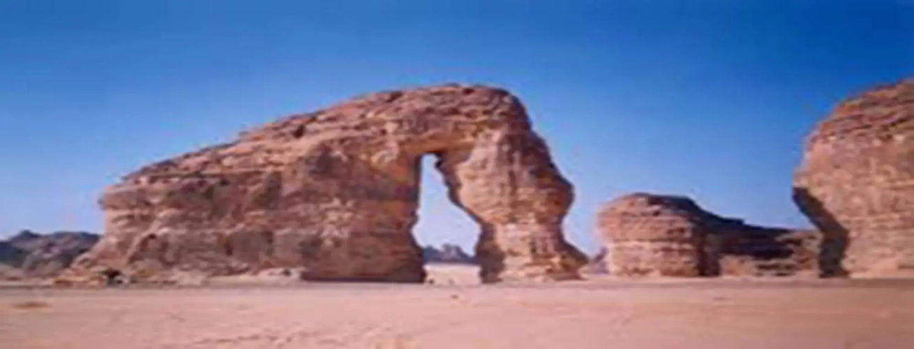 Tulip Inn Tabuk