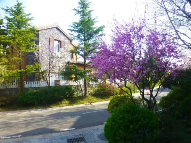 Baden Town Hot Spring Villa