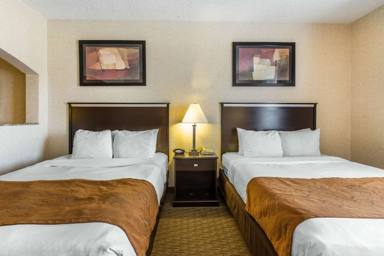 Quadruple Suite