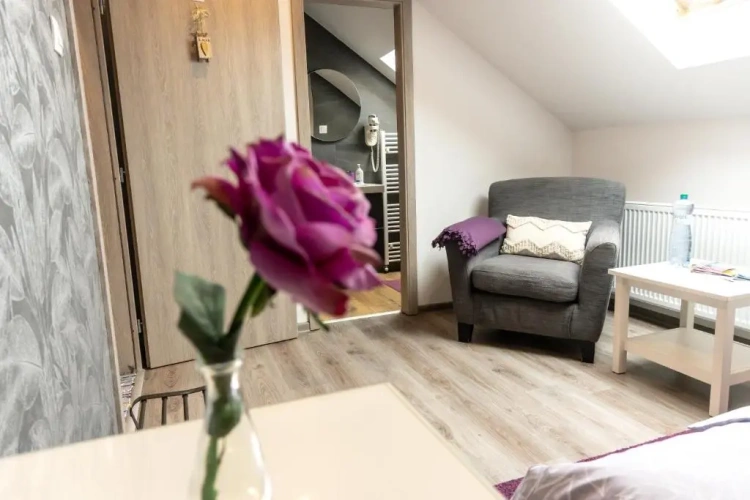 Standard Double room with mountain view