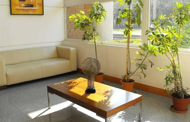 AMS Apartments Monjitas