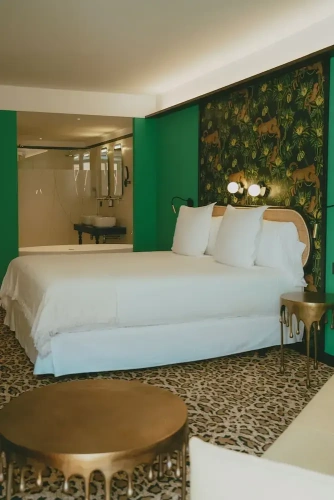 Superior Double room with balcony and with city view