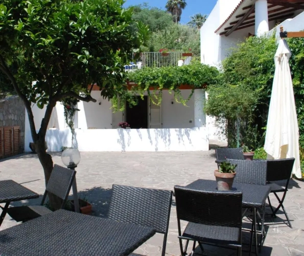 Economy Apartment