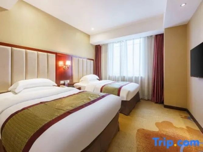 Comfort Twin Suite