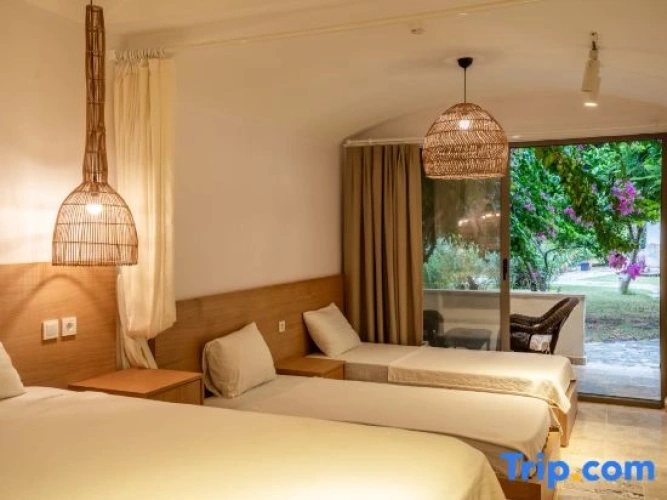 Standard Double room with pool view