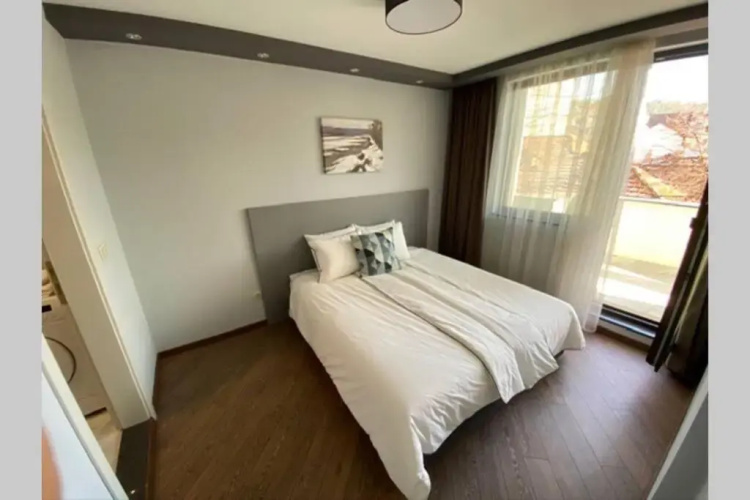LUX 1BD/1BA City Center Apartment