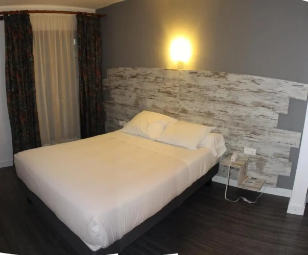 Standard Double room with park view