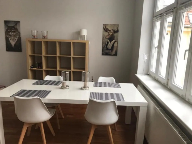 Apartment Zebra