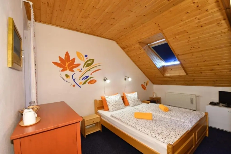 Standard Double room with view