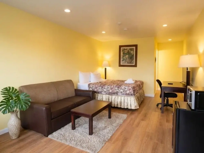 Standard Single room