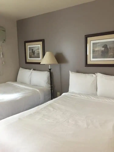 Standard Quadruple Suite