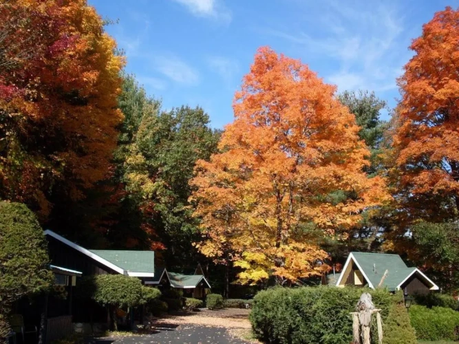 Cottage