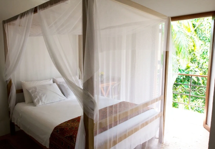 Double Suite with balcony and with garden view