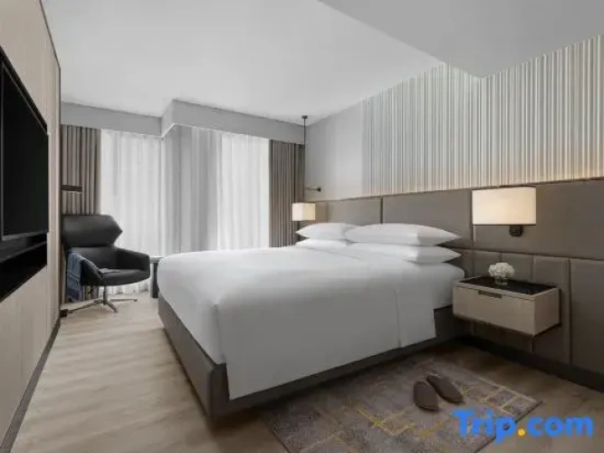 1 Bedroom Double Suite with balcony and with city view