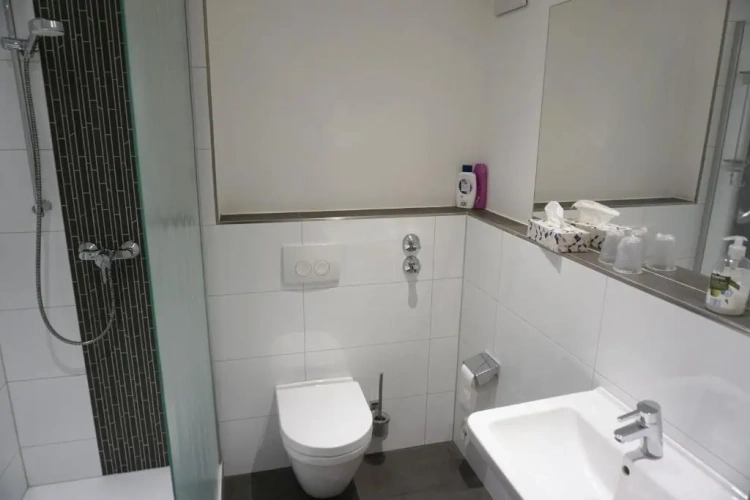Standard Double room with garden view