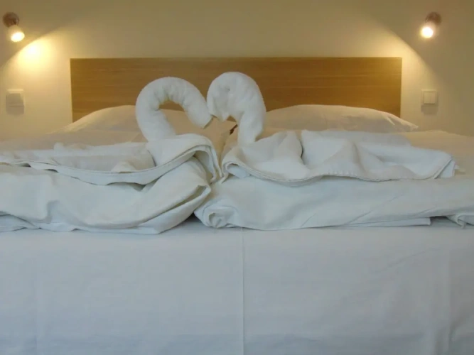 Luxury Single room