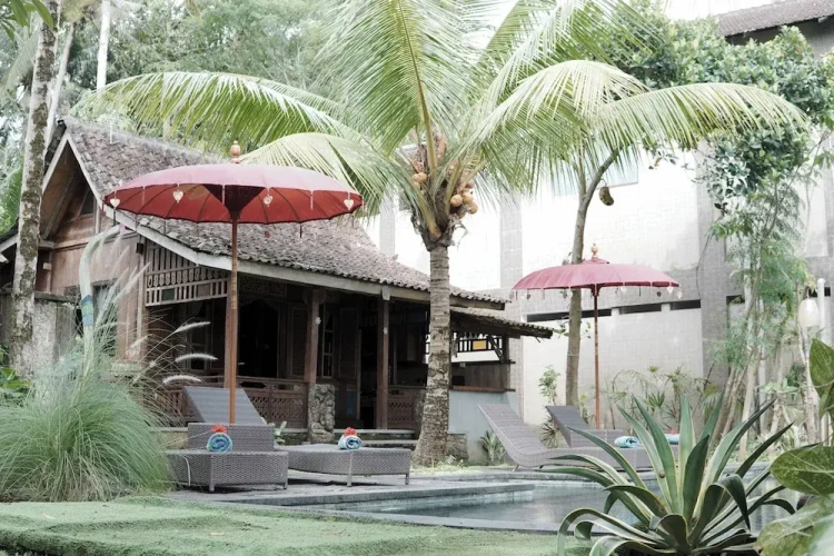 1 Bedroom Luxury Villa