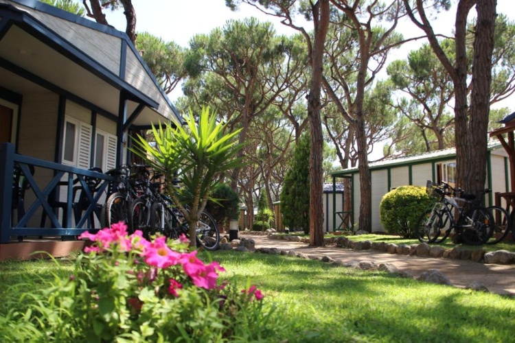 Standard Bungalow