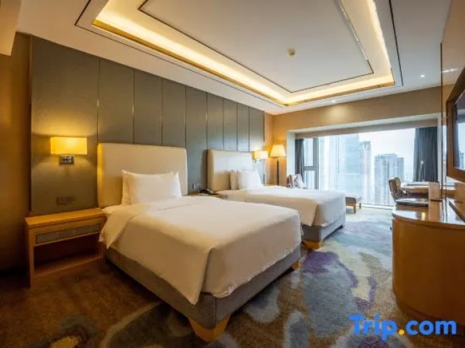 Luxury Twin room with city view