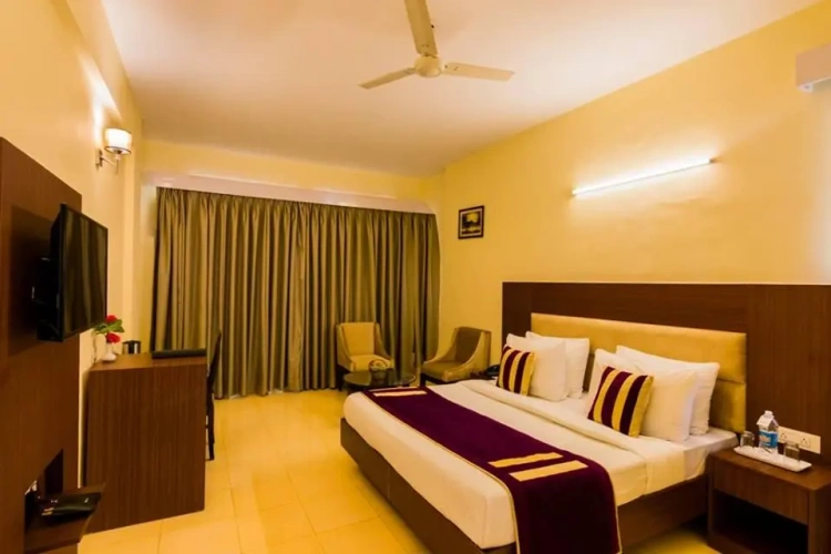 Superior Double room with balcony and with view