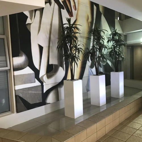 First Divine Suites - Hydro Park