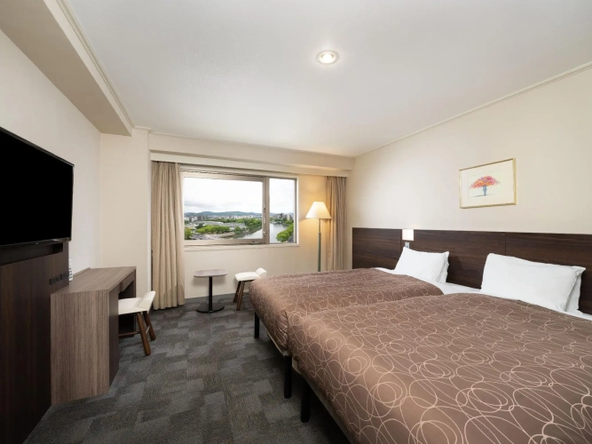 Superior Twin room with park view