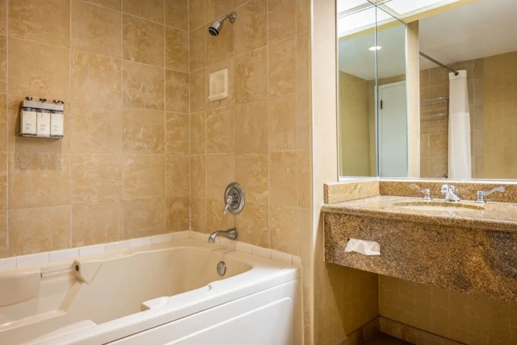 Luxury Double room
