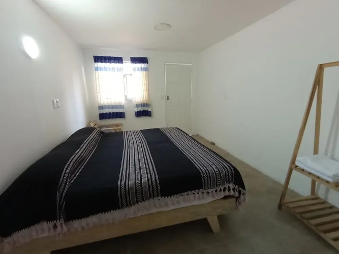 Iguana Co-living