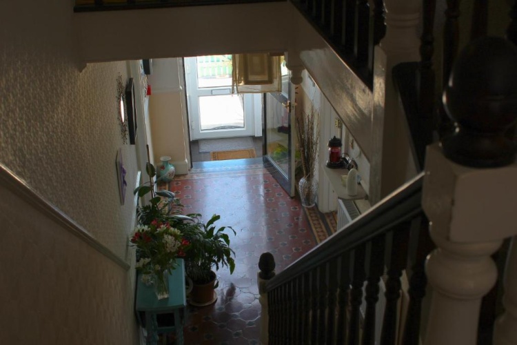 Superior Triple Basement room