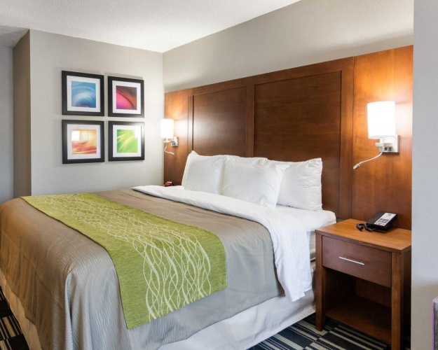 1 Bedroom Suite