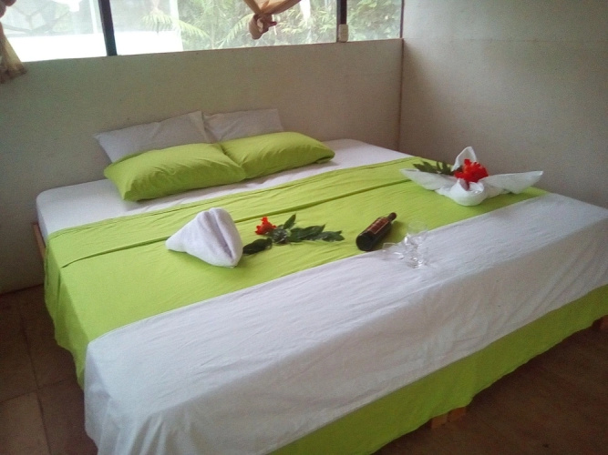 Amazon Canopy Expeditions Ecolodge