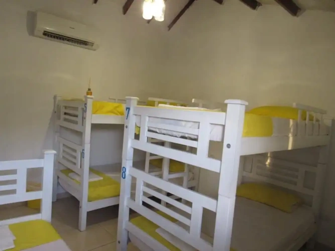 Bed in Dorm