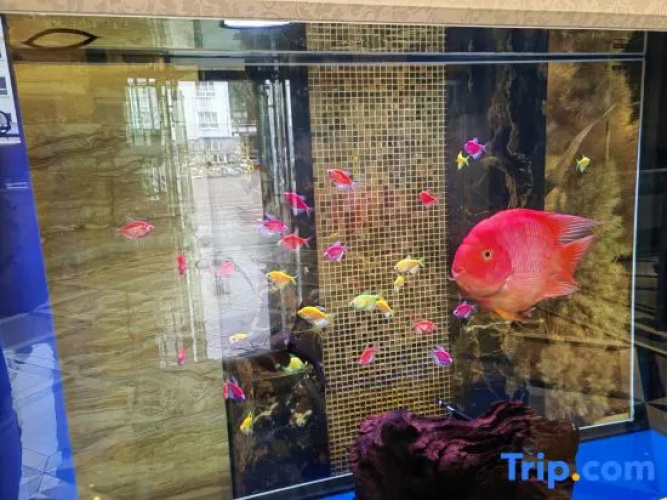Yuxin Boutique Hotel