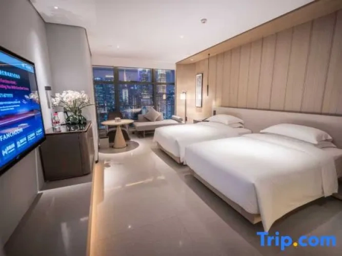Deluxe Twin room with city view