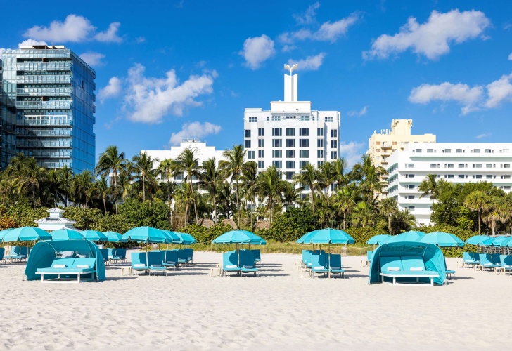 The Palms Hotel and Spa photo 42