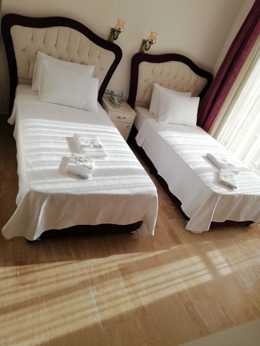 Standard Double room with mountain view