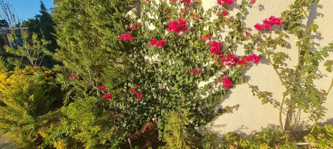 Mardakan Villa