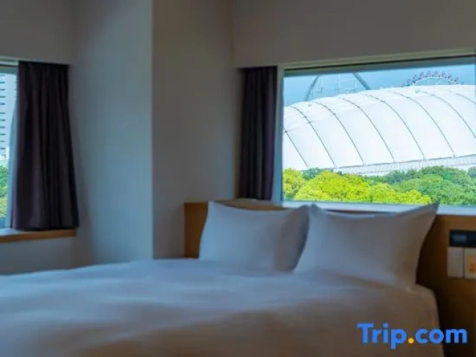 Standard Double room with view