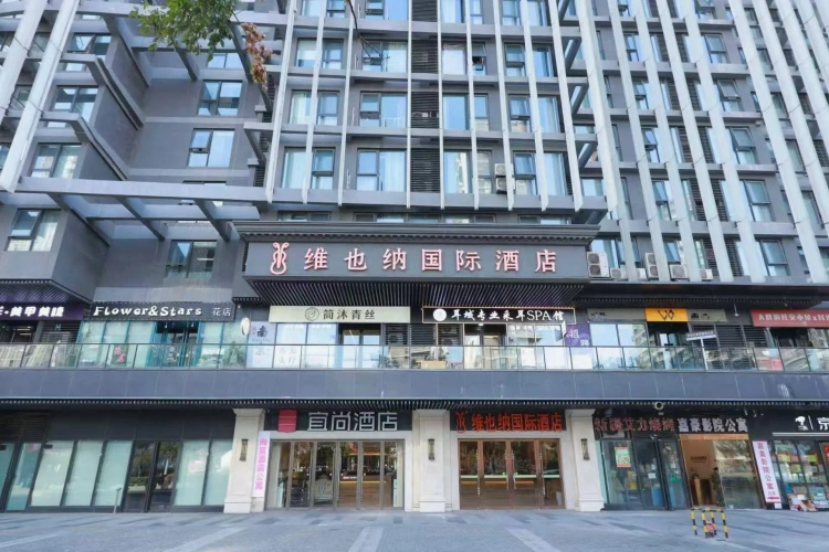 Vienna International Hotel (Nanjing South Railway Station South Square)