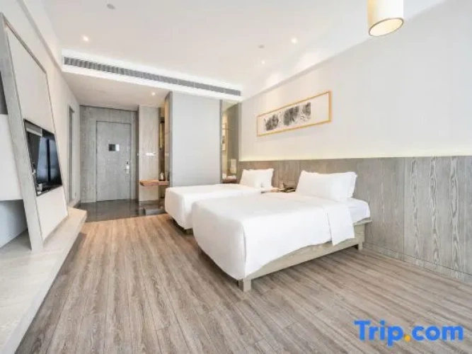 Executive Twin room