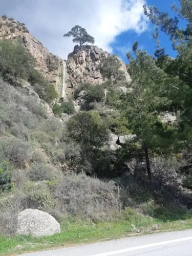view home