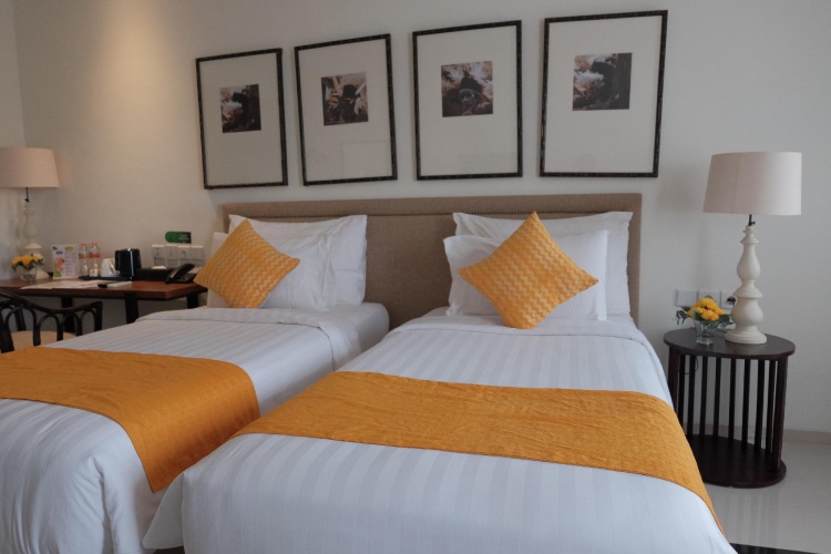 Deluxe Twin room