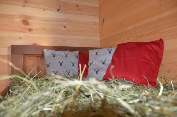 Naturchalet