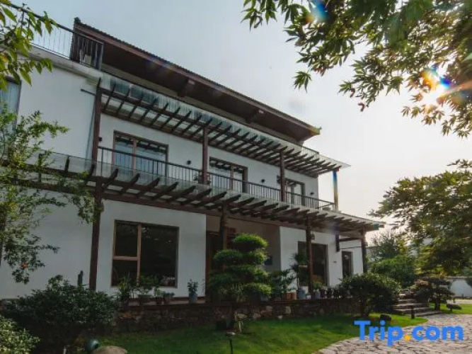 Yinxing Guli Hotel